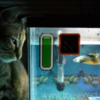 Aquarium Zelda
