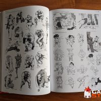 livre Mana Books - Street Fighter l'art book